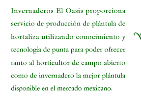 Invernaderos El Oasis proporciona servicio de producci&oacute;n de pl&aacute;ntula de hortaliza utilizando conocimiento y tecnolog&iacute;a de punta para poder ofrecer al horticultor nacional la mejor pl&aacute;ntula disponible en el mercado mexicano.