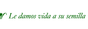 Le damos vida a su semilla