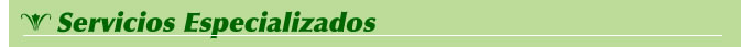 Servicios Especializados